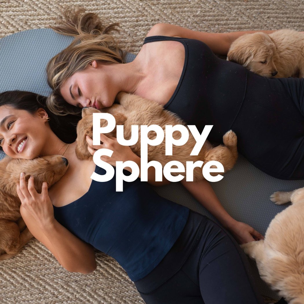 Puppy Sphere | Puppy Yoga (San Francisco) 1