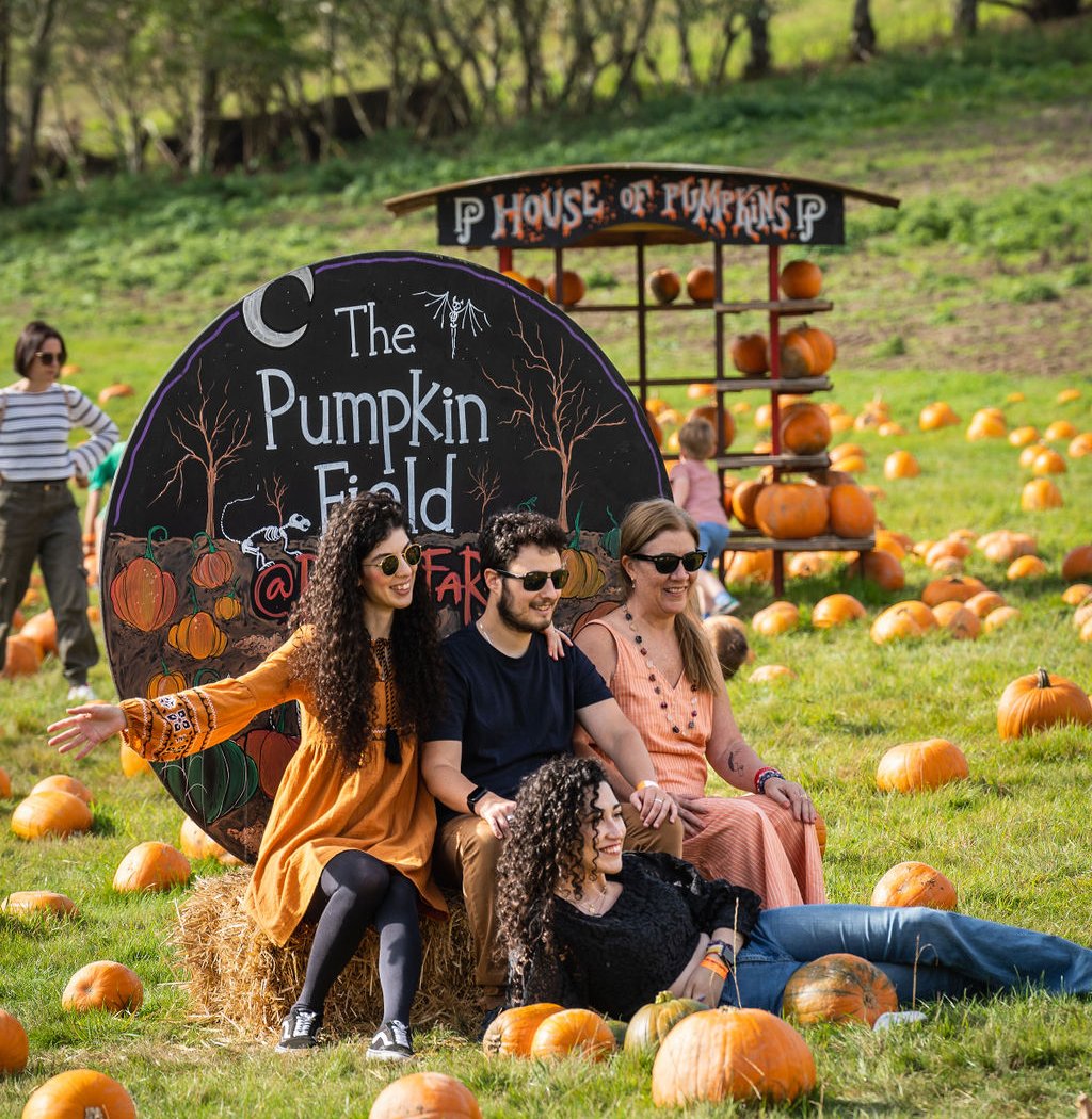 Pumpkin Patch 1