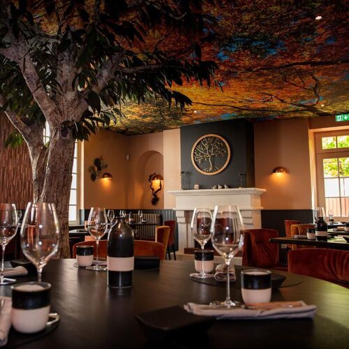 Arbore & Sens 2