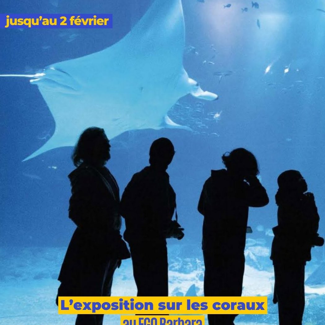 Regards Coralliens 1