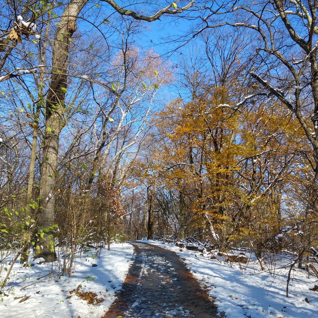 The Ravine 3