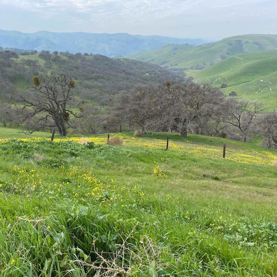 Del Valle Ridge Trail 2
