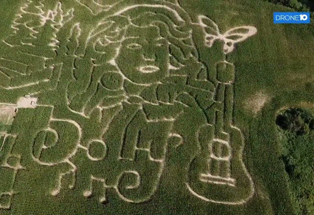 Dolly Parton Corn Maze 1