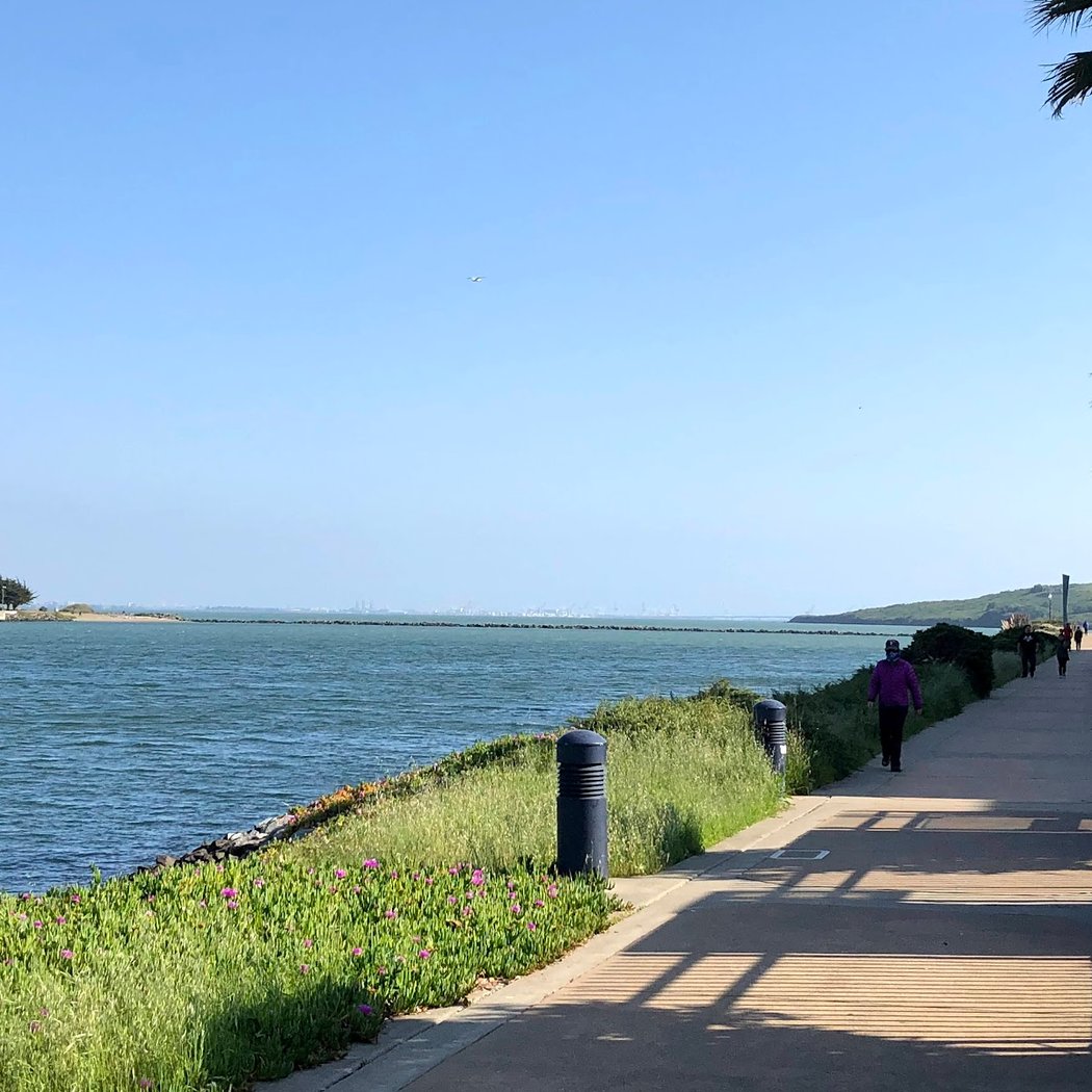 Lucretia Edwards Shoreline Park 1