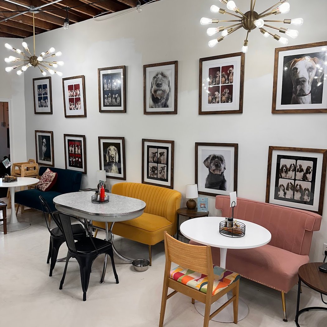 Zoomies Pet Cafe + Boutique 3