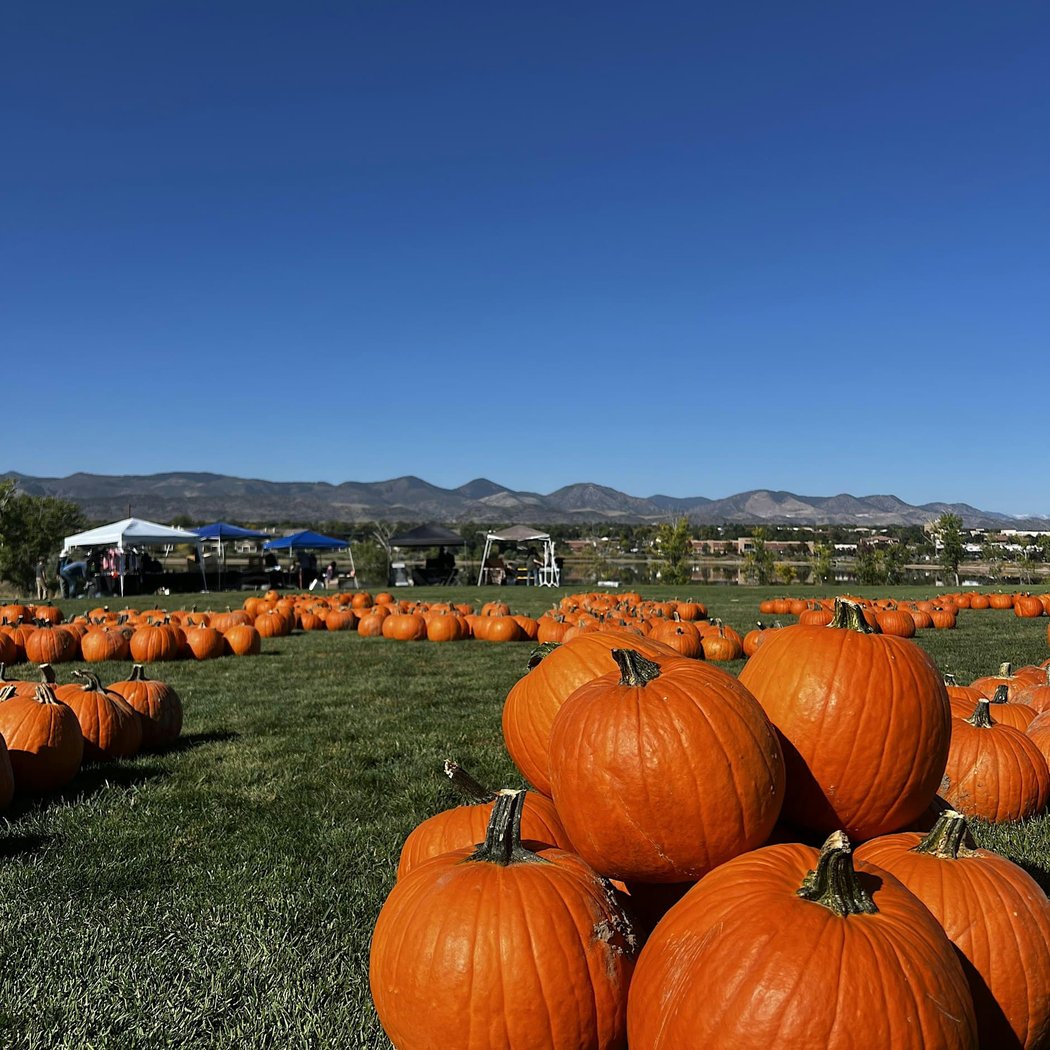 Littleton Fall Festival