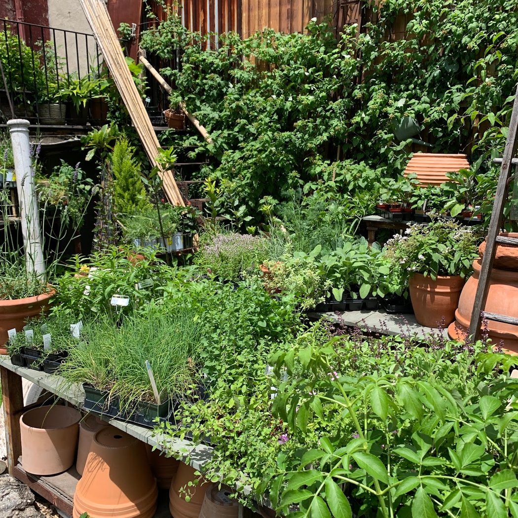 Gowanus Nursery 2