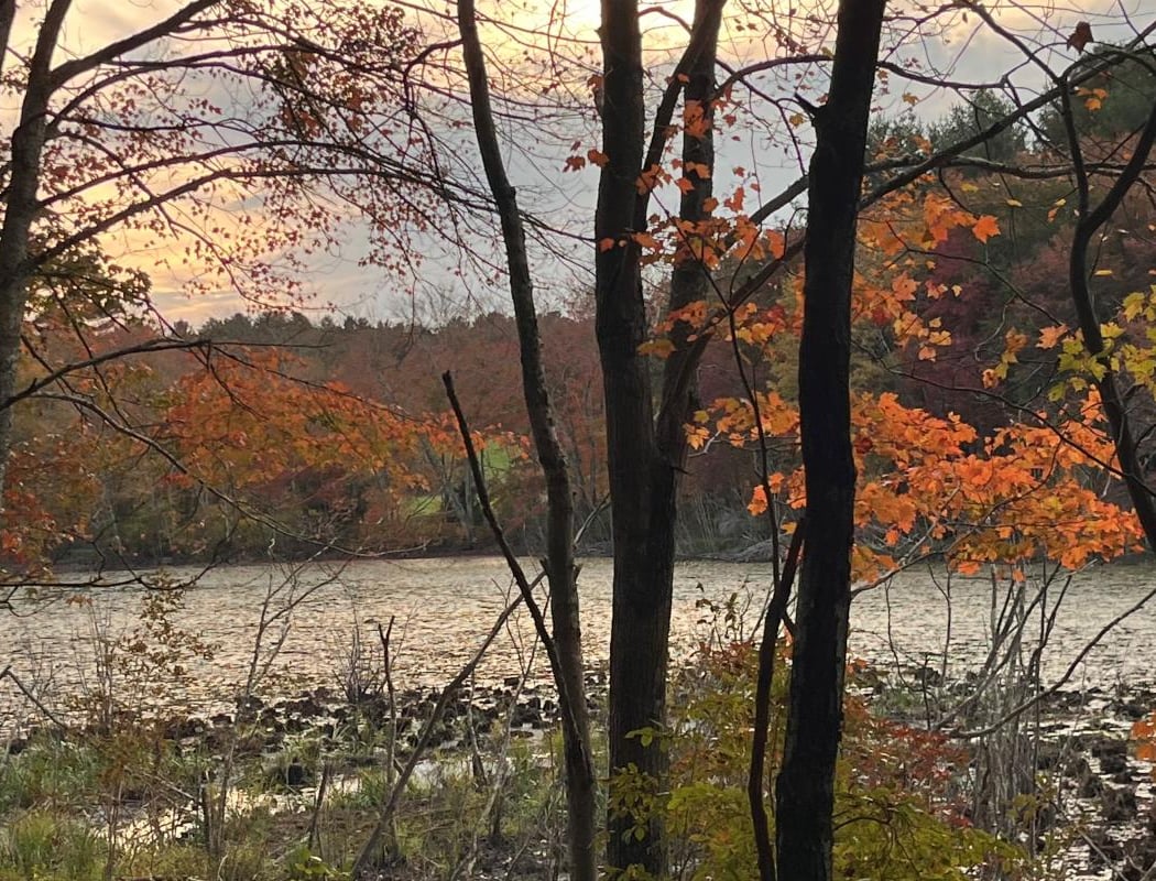 Fenton-Ruby Park 1