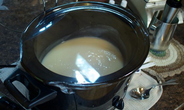 Crock Pot Soap Making Workshop 1
