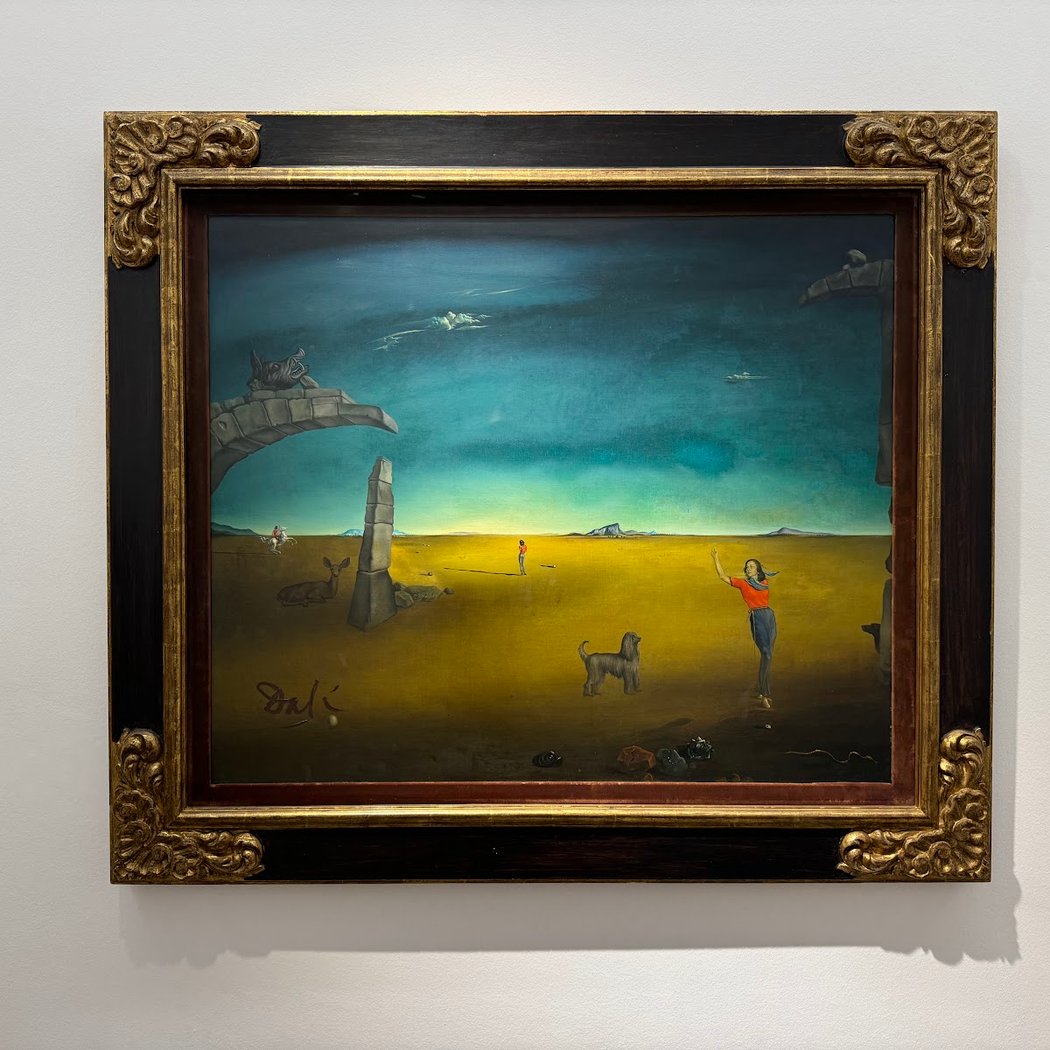 COMPLEMENTOS Y SUPLEMENTOS – Exposición 1