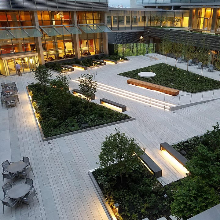 NYU Langone Health 3