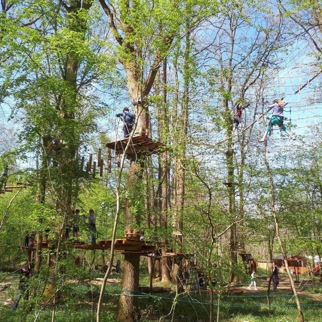Forest Arena | Parc de loisirs IDF | Accrobranche 77 1