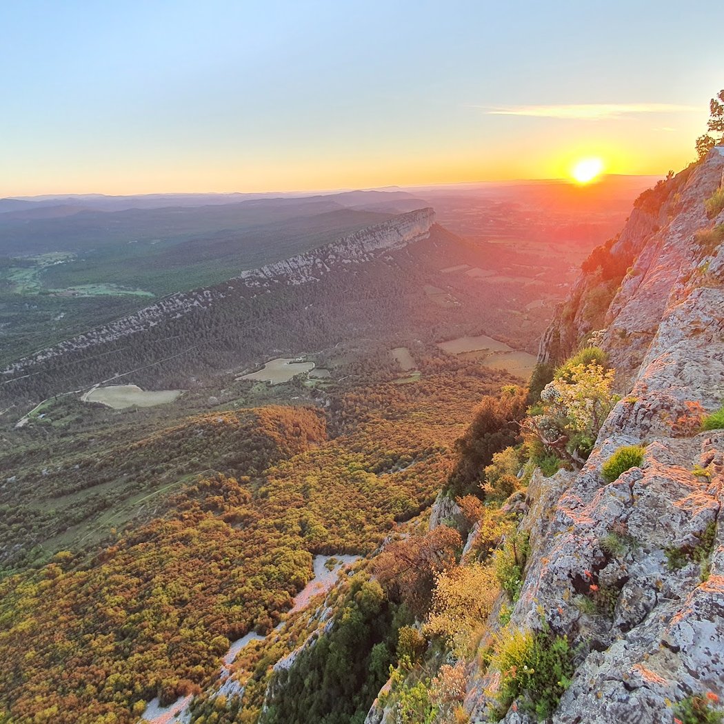 Pic Saint-Loup 2