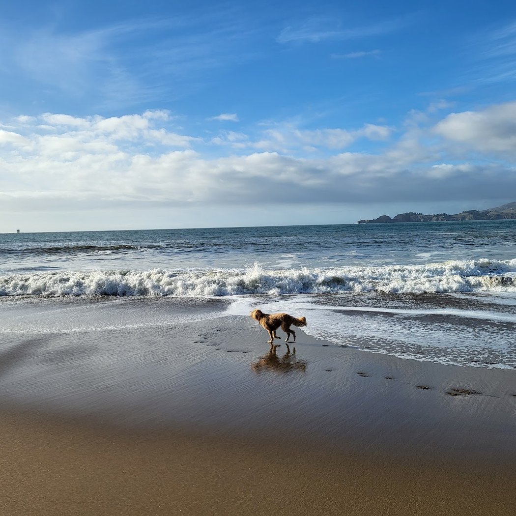 Baker Beach 3