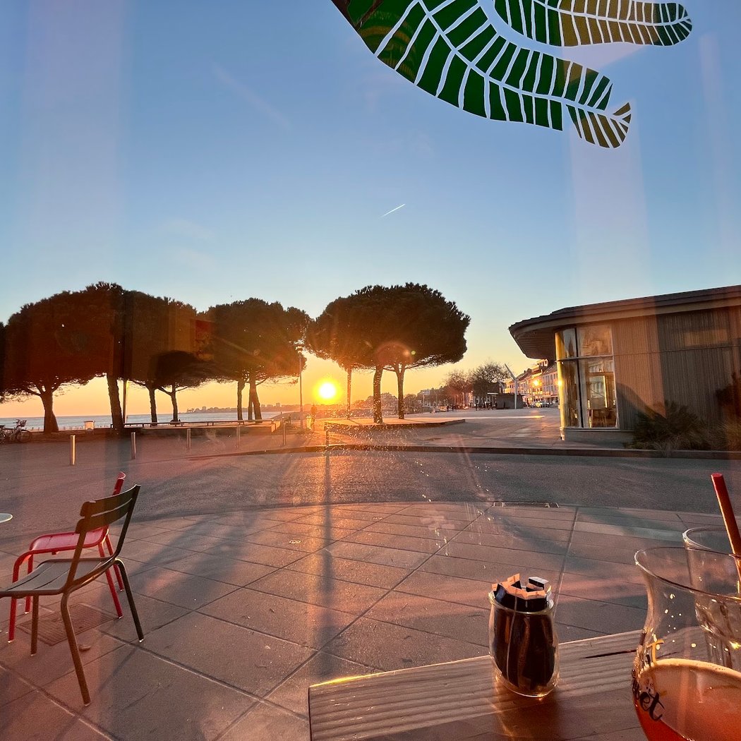 Sous les palmiers la plage 1