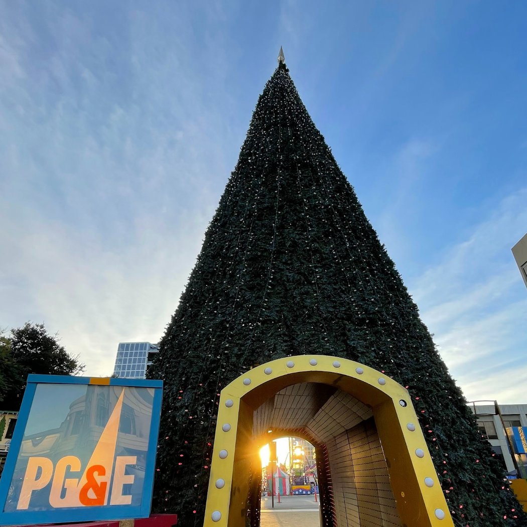 Christmas In The Park 3