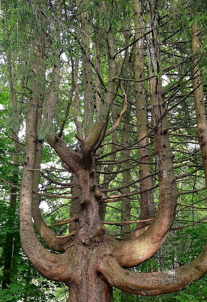 Heritage Trail 3