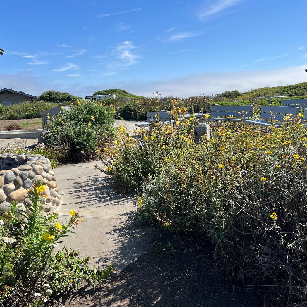 Francis Beach Amphitheater 3