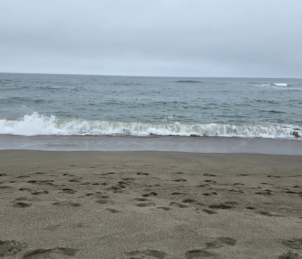 South Salmon Creek Beach 2
