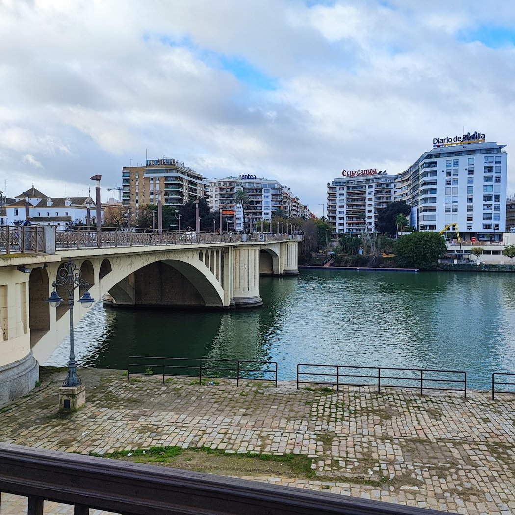Puente de San Telmo 2