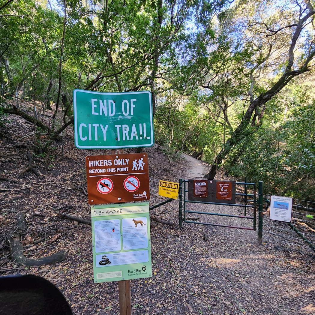 Martin Canyon Creek Trailhead 3