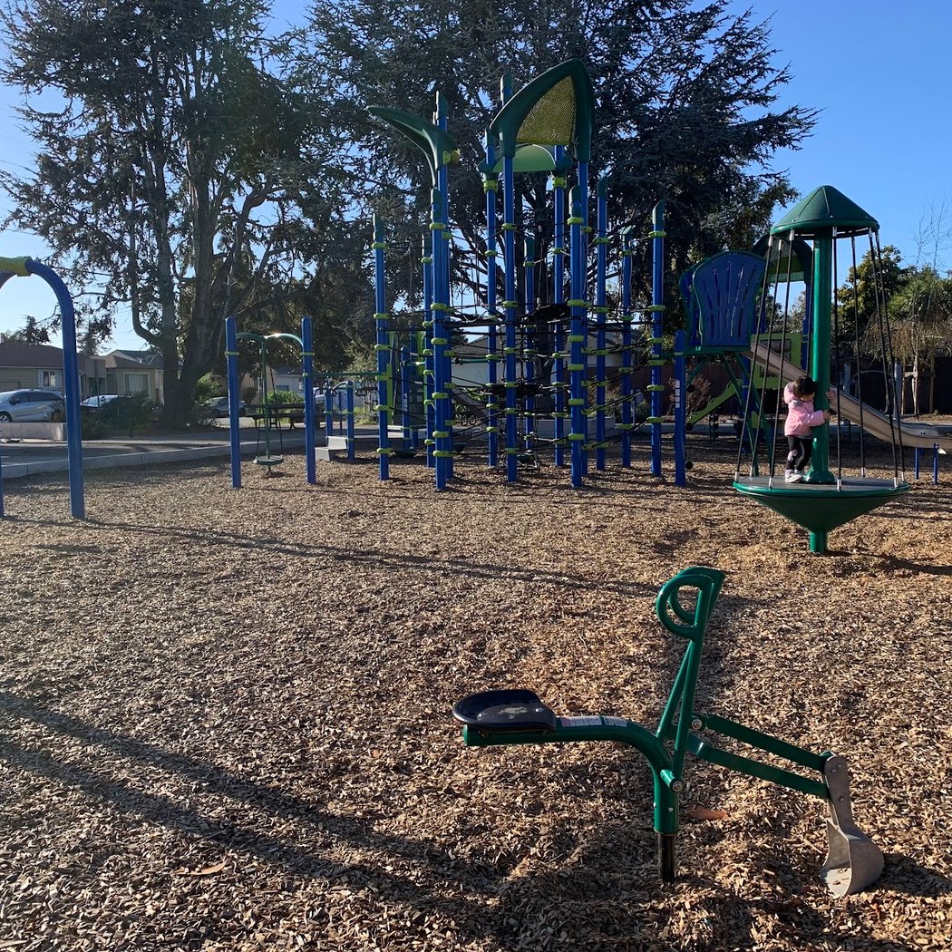 Warden Park 2