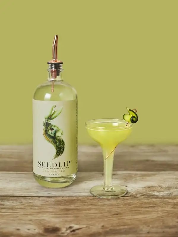 Dry January Mixology Class ft. Seedlip 1
