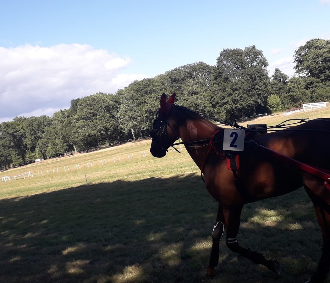 Zic en Zelle 2