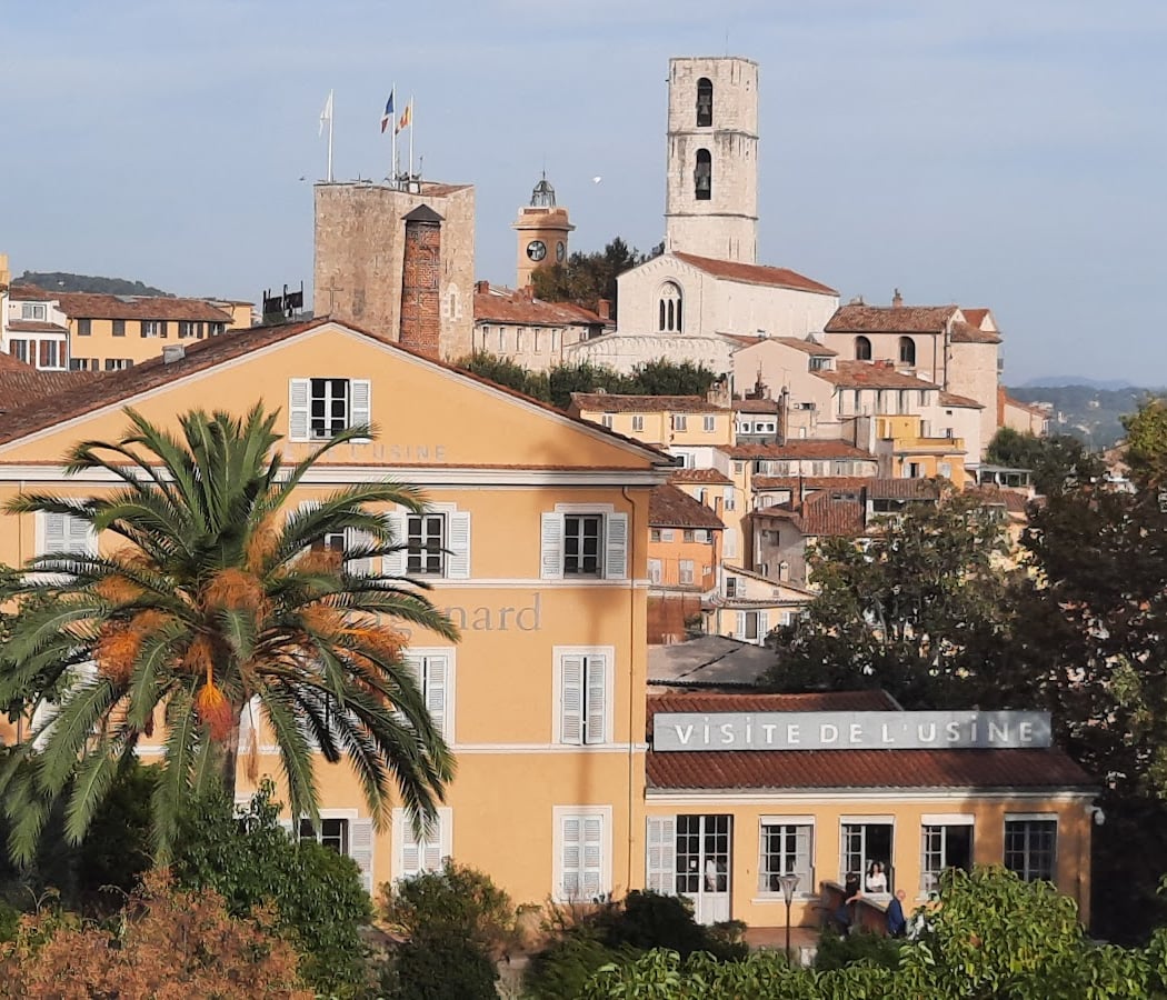 Grasse 4