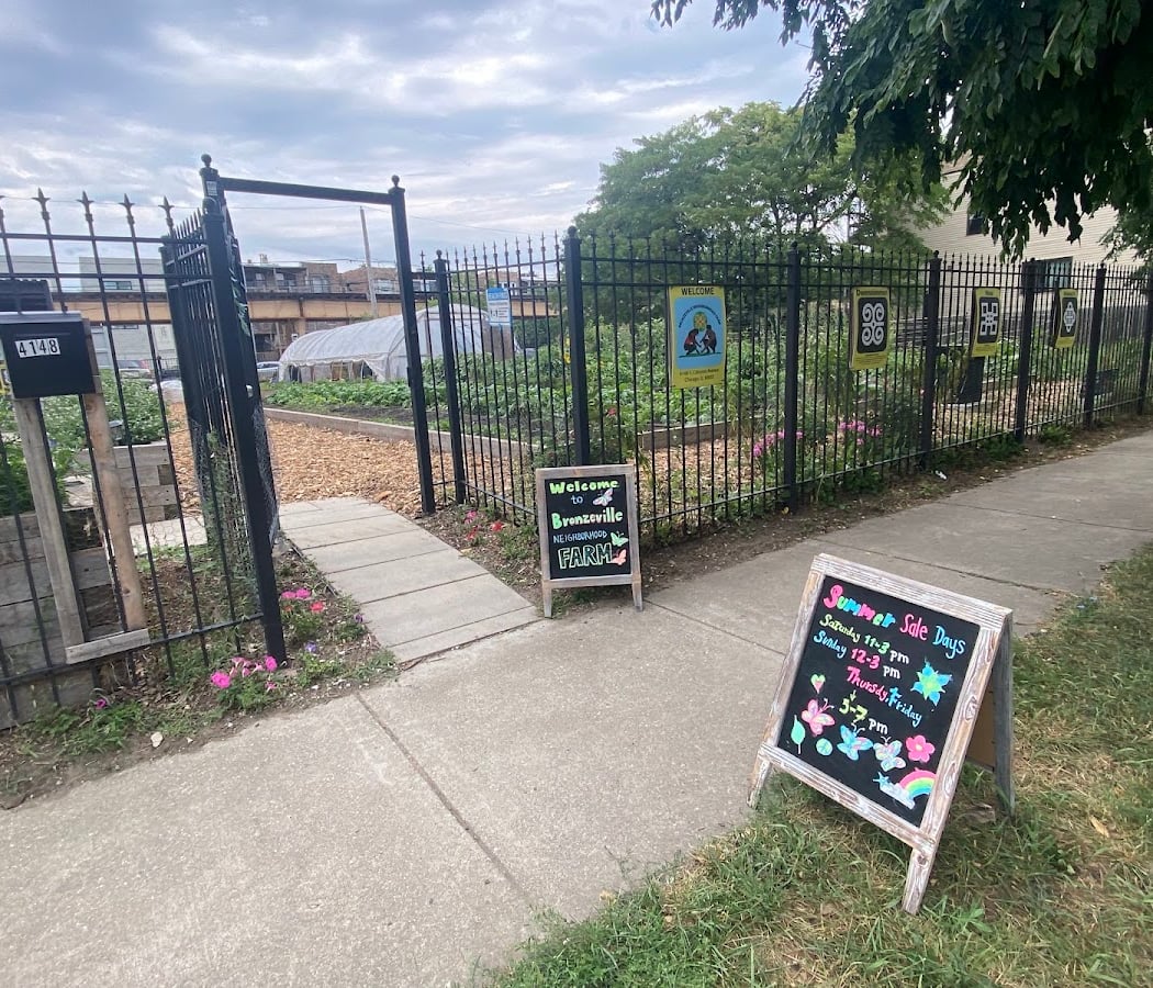 Bronzeville Neighborhood Farm 2
