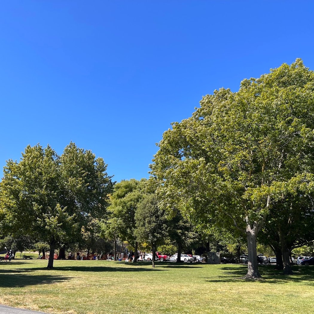 4th of July at the Moraga Commons 3