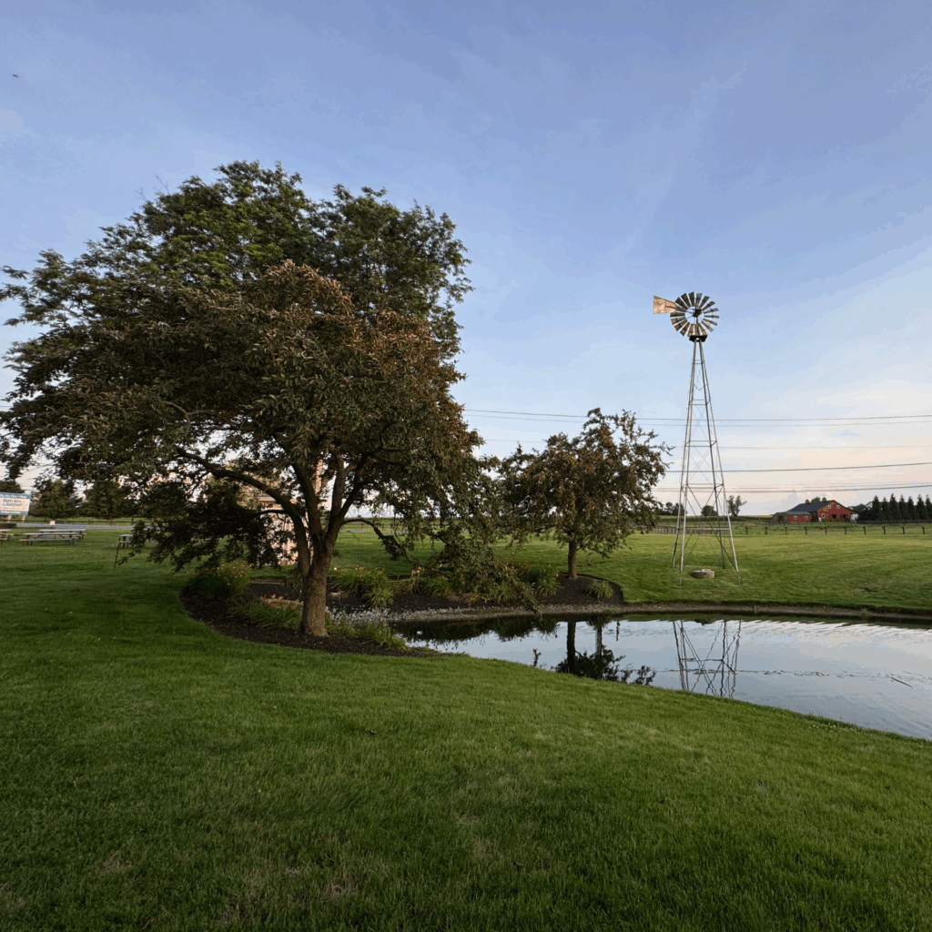 Homestead Days 3