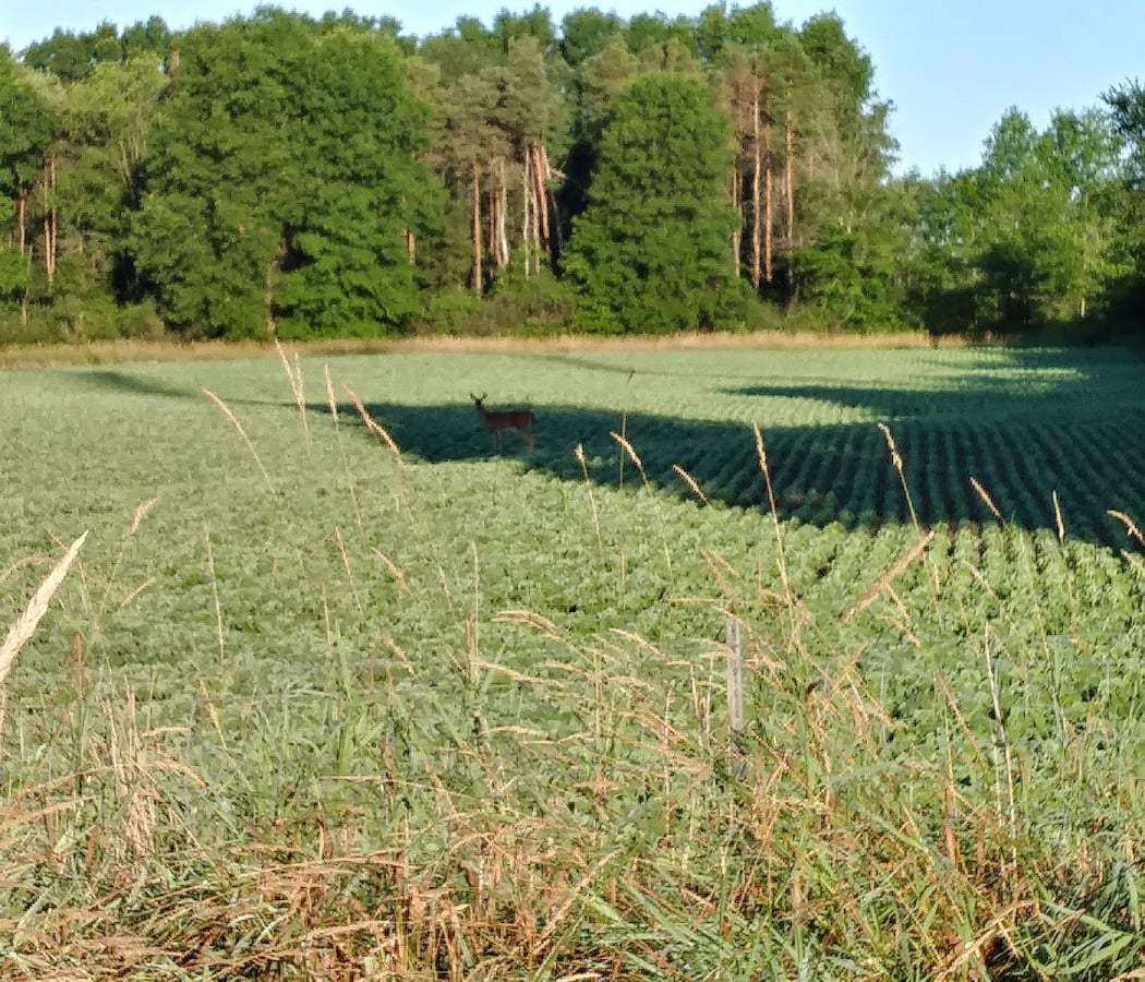 Mill Creek MetroParks Farm 3