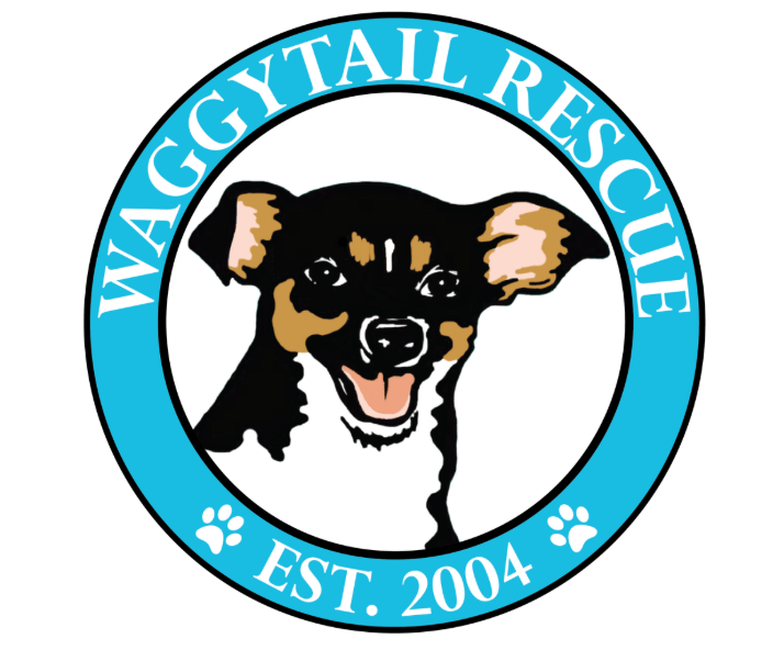 Adoption Event: Waggytails Rescue