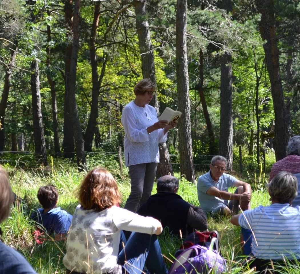 Lectures sous l’arbre 1