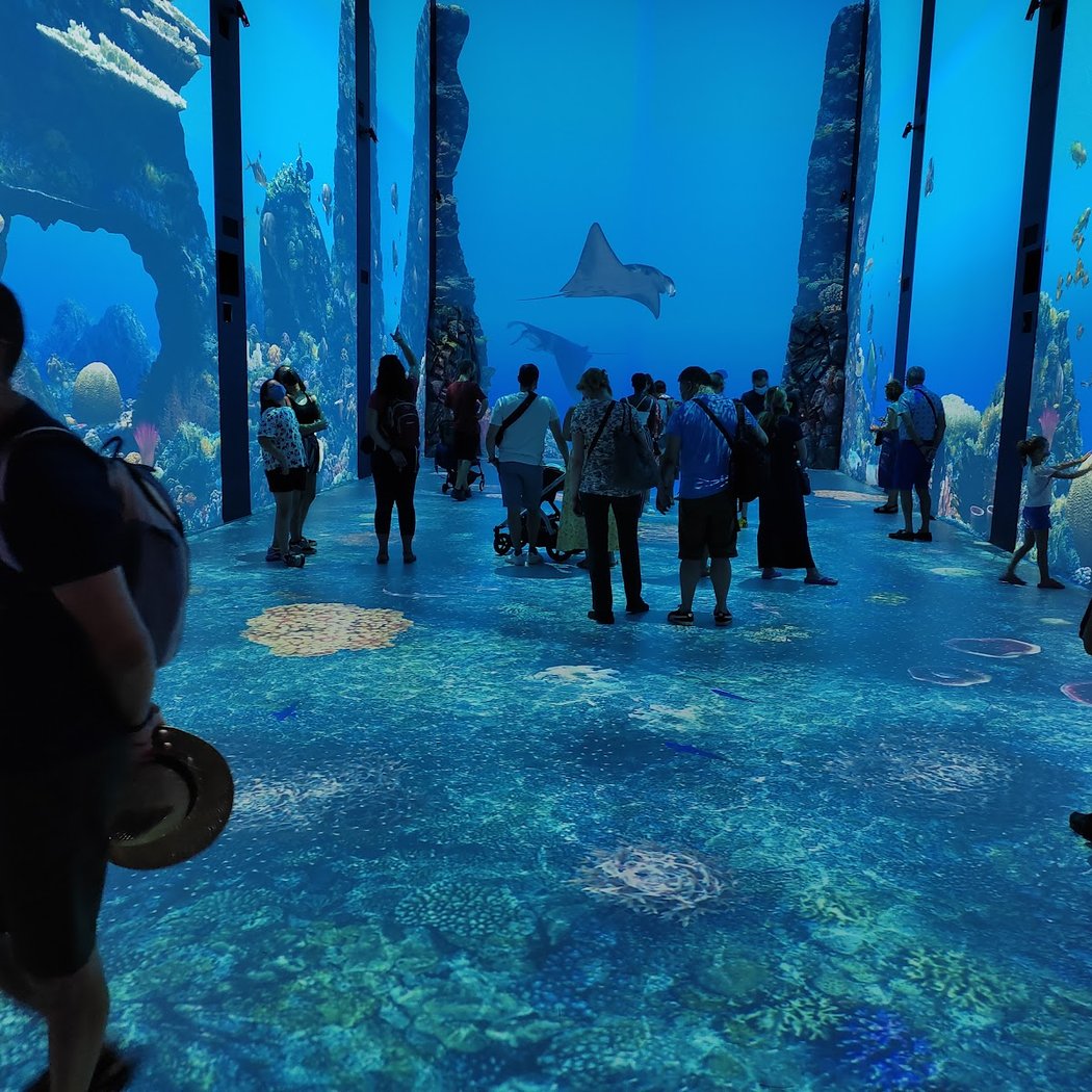 Musée océanographique de Monaco 4