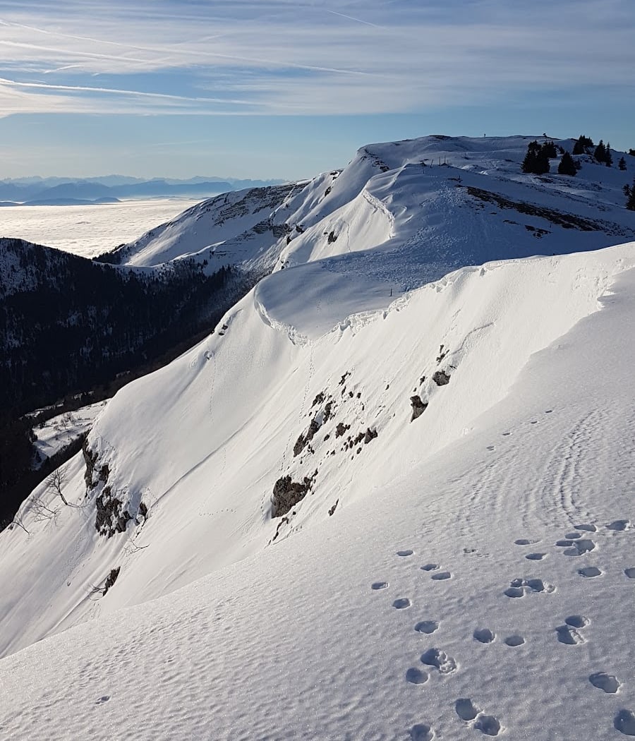 Crêtes du Jura 1