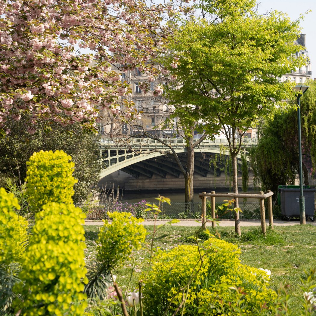 Tino Rossi Garden 3
