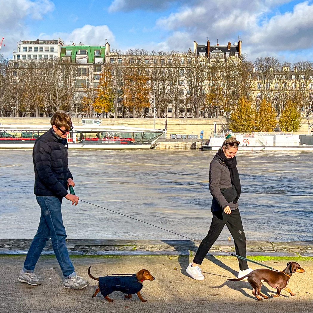 Paris Sausage Walk 3