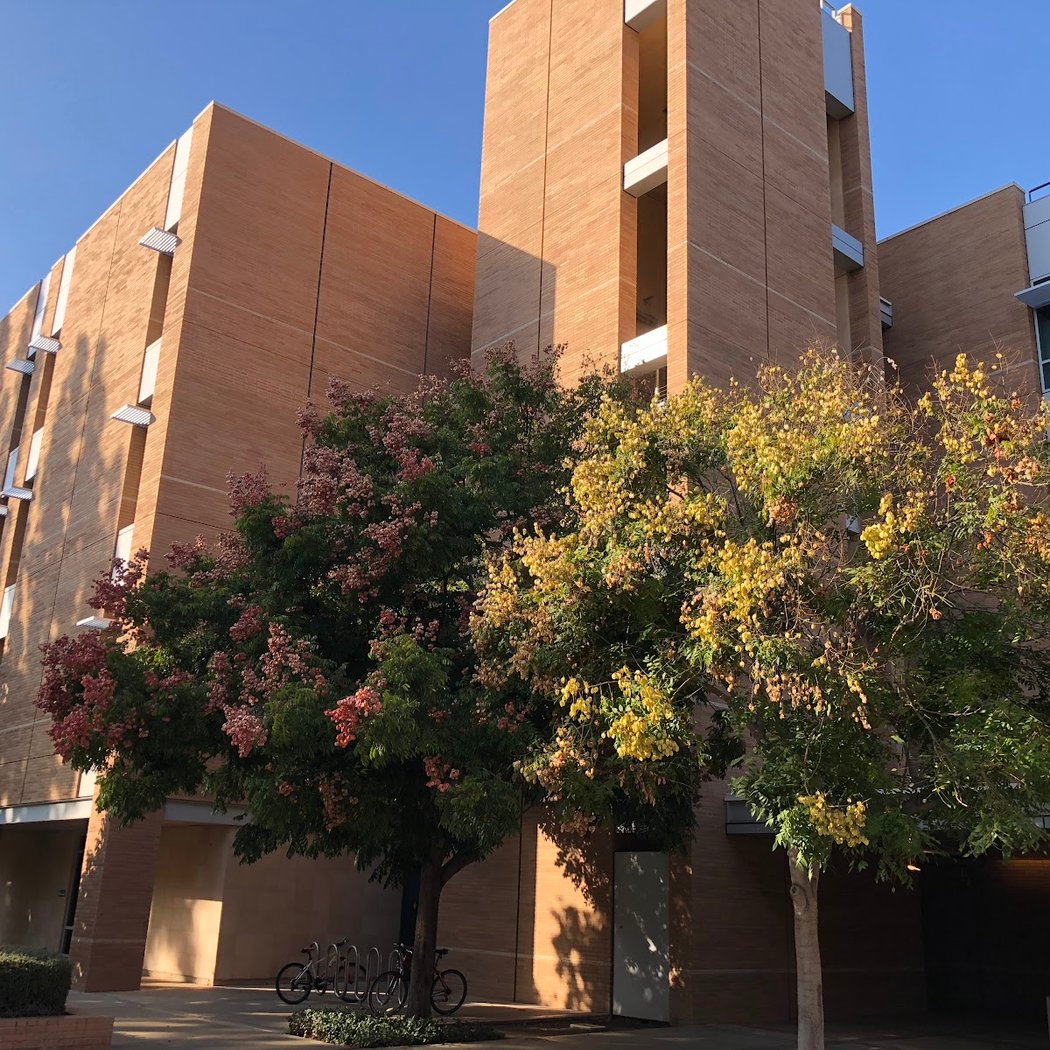Winston Chung Hall 2