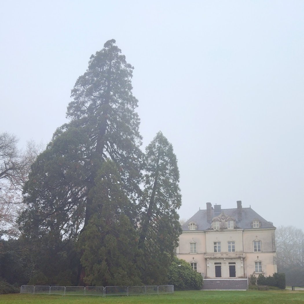 Château de la Fleuriaye 3