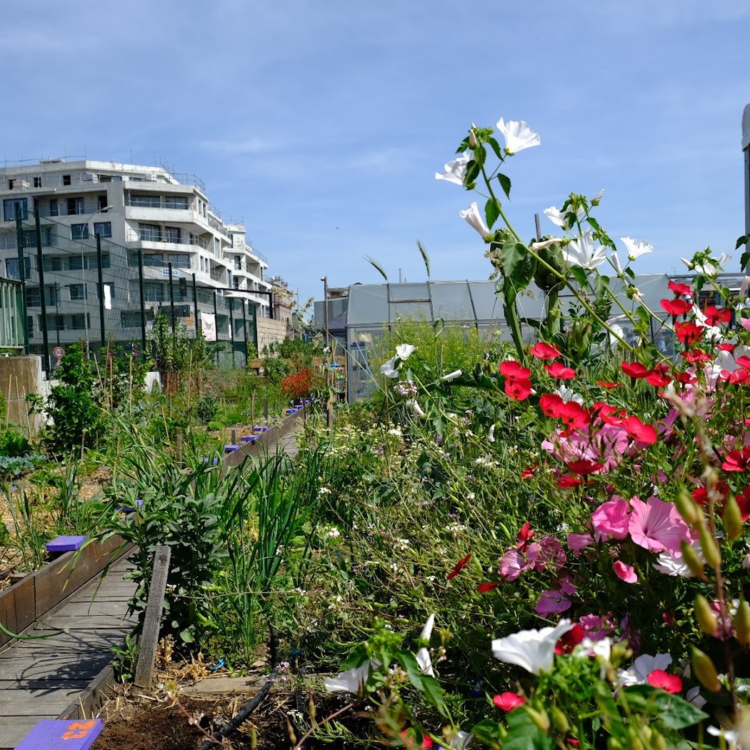 Terre Terre (ferme urbaine) 2