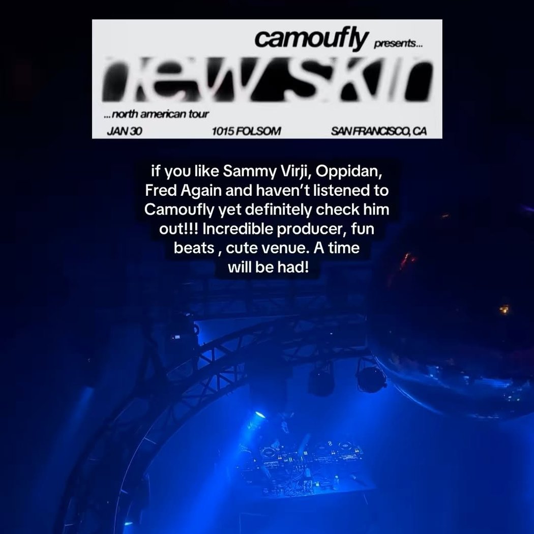 Camoufly 1
