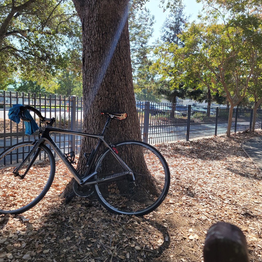 Foothill Park 3