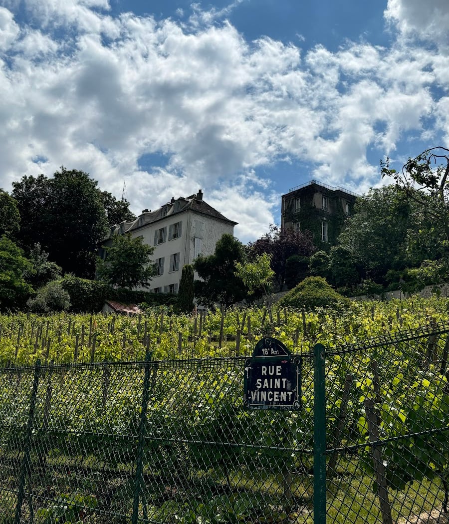 Clos Montmartre 1