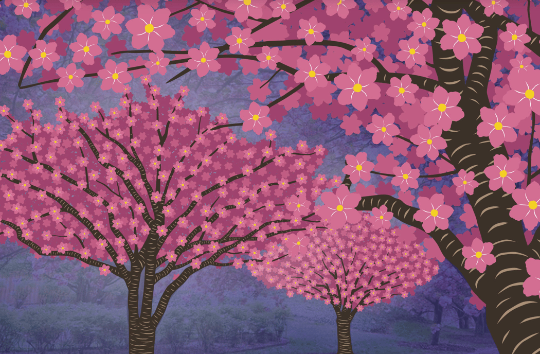 Hanami Nights 3