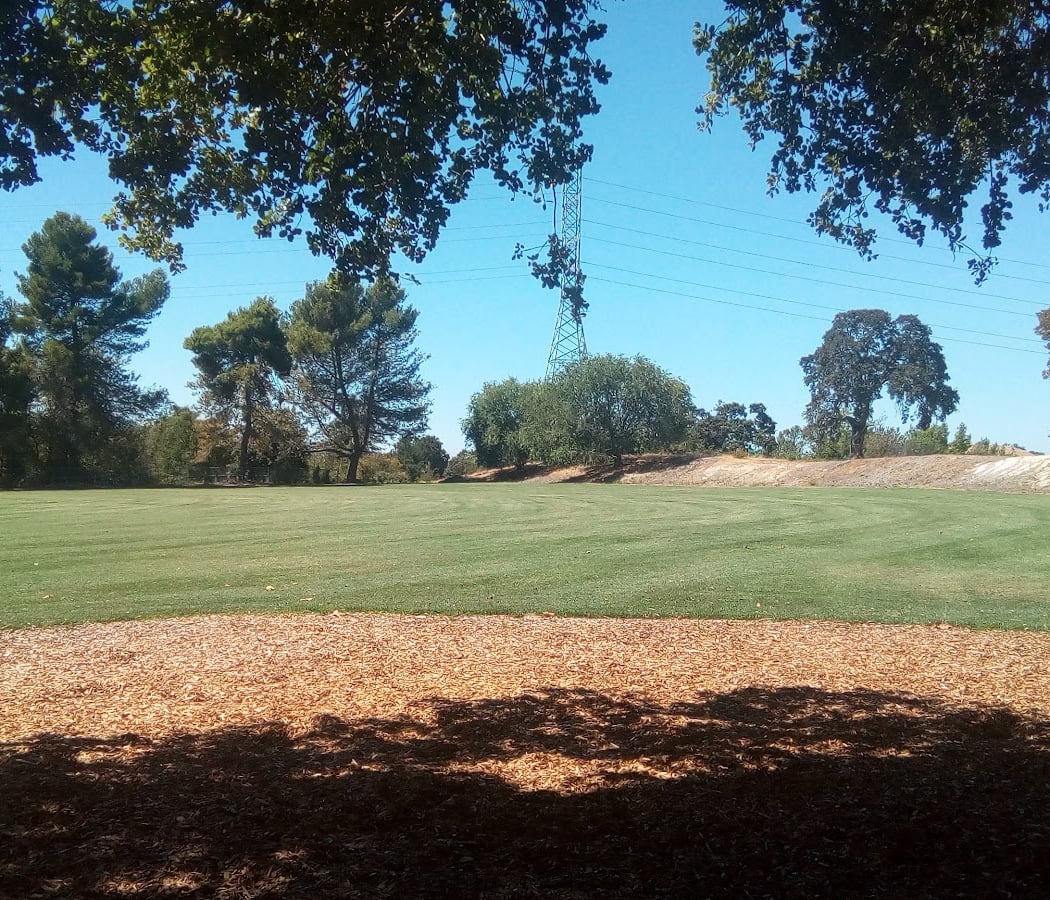 Rudgear Park 2