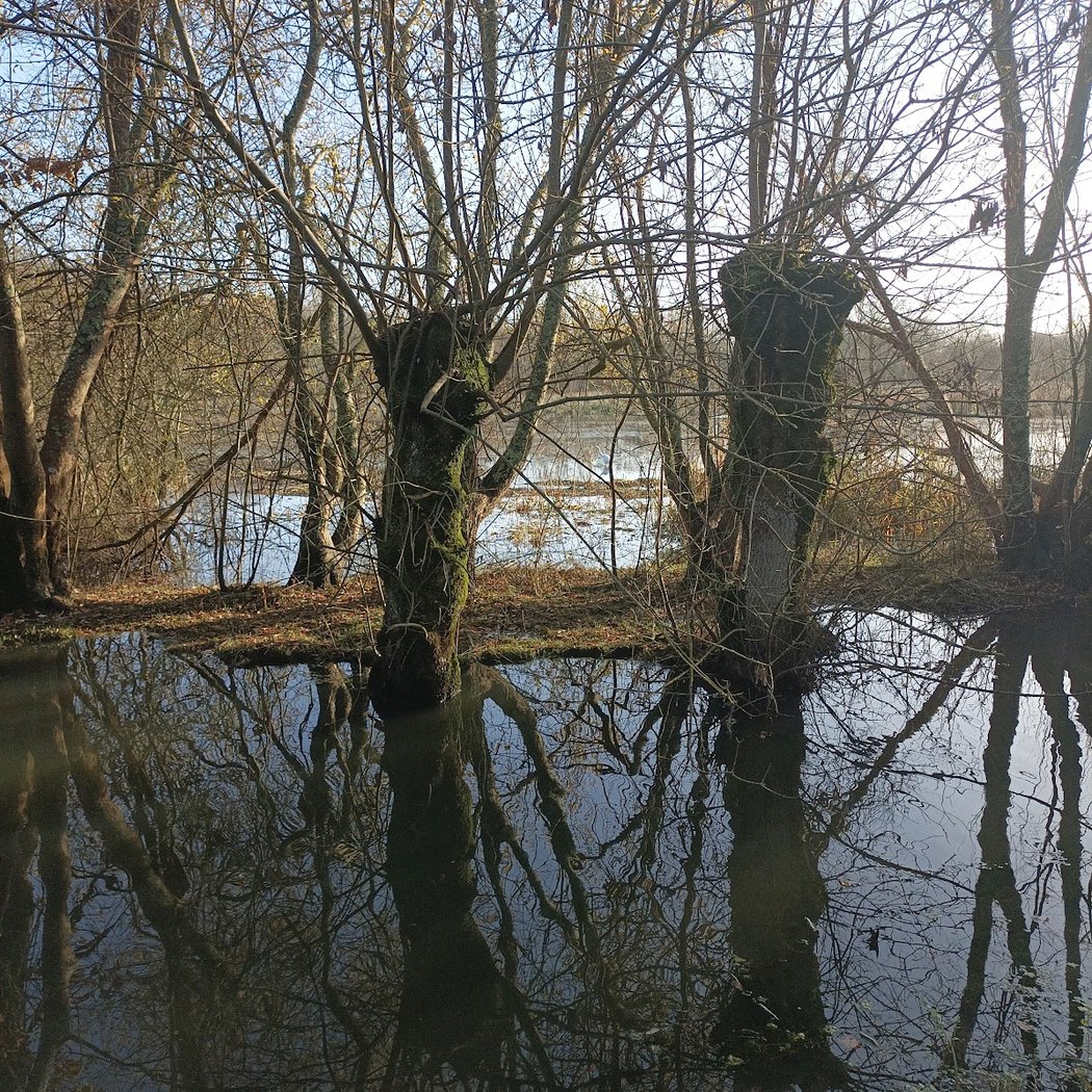 Marais Tougas 1