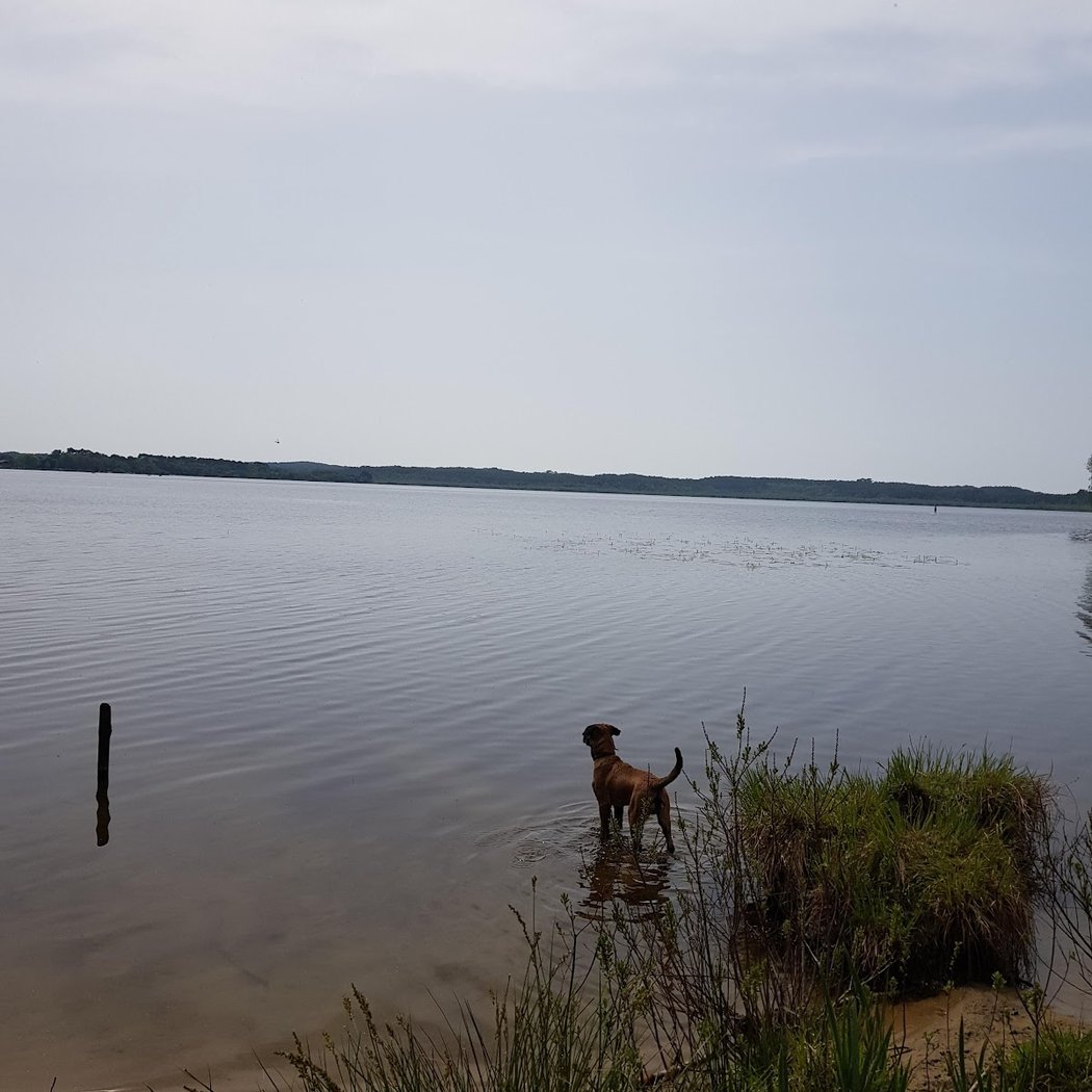 Lac De Leon 3