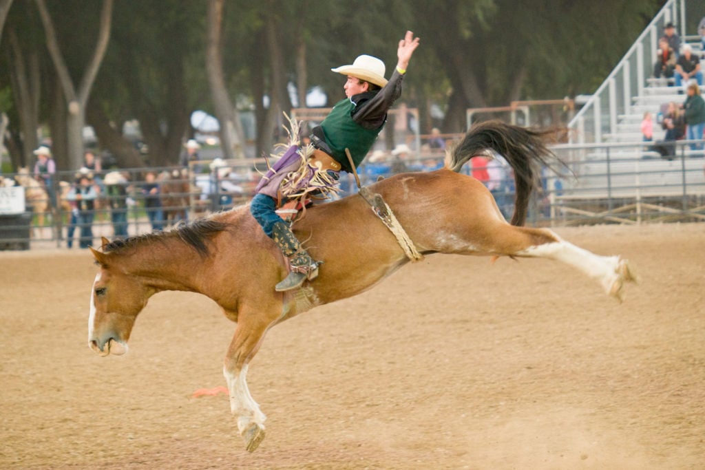 USU Stampede Rodeo 2